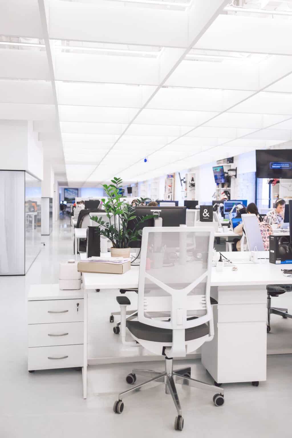 vod NeoPaliativa vod NeoPaliativa